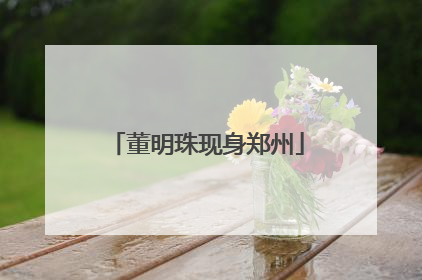 董明珠现身郑州