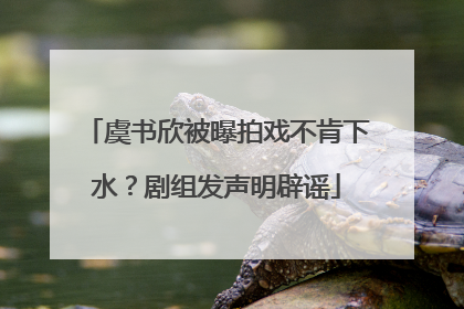 虞书欣被曝拍戏不肯下水？剧组发声明辟谣