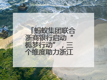 蚂蚁集团联合浙商银行启动“栀梦行动”，三个维度助力浙江下姜村建设共富示范区示范点