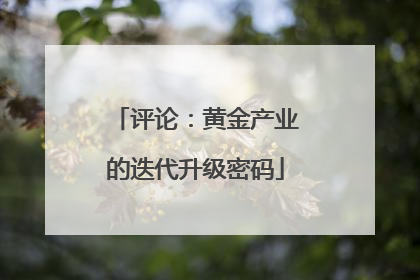 评论：黄金产业的迭代升级密码