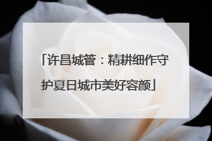 许昌城管：精耕细作守护夏日城市美好容颜