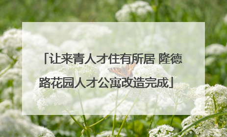 让来青人才住有所居 隆德路花园人才公寓改造完成