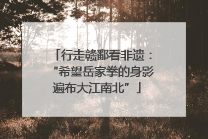 行走赣鄱看非遗：“希望岳家拳的身影遍布大江南北”