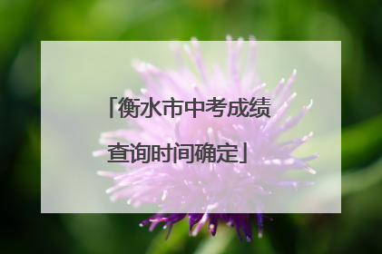 衡水市中考成绩查询时间确定