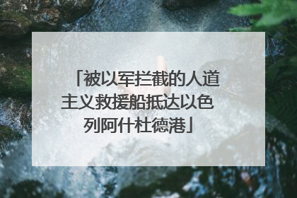 被以军拦截的人道主义救援船抵达以色列阿什杜德港