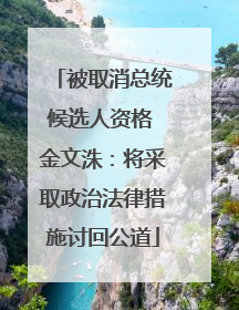 被取消总统候选人资格 金文洙：将采取政治法律措施讨回公道