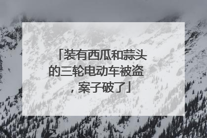 装有西瓜和蒜头的三轮电动车被盗，案子破了