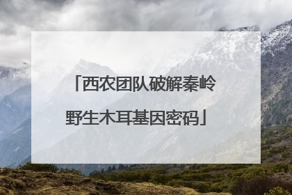 西农团队破解秦岭野生木耳基因密码