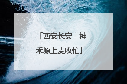西安长安：神禾塬上麦收忙