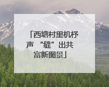 西塘村里机杼声 “缝”出共富新图景