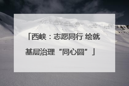 西峡：志愿同行 绘就基层治理“同心圆”