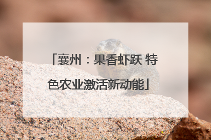 襄州：果香虾跃 特色农业激活新动能