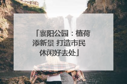 襄阳公园：植荷添新景 打造市民休闲好去处