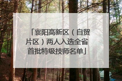 襄阳高新区（自贸片区）两人入选全省首批特级技师名单