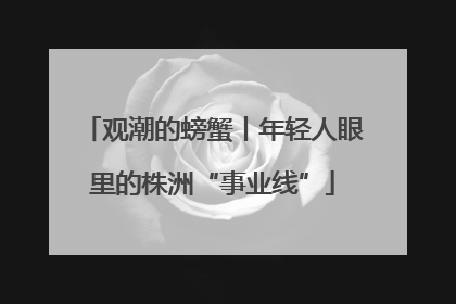 观潮的螃蟹丨年轻人眼里的株洲“事业线”