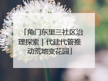 角门东里三社区治理探索｜代建代管推动荒地变花园