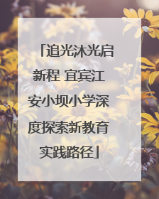 追光沐光启新程 宜宾江安小坝小学深度探索新教育实践路径