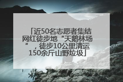 近50名志愿者集结网红徒步地“天鹅林场”，徒步10公里清运150余斤山野垃圾