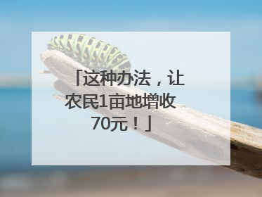 这种办法，让农民1亩地增收70元！