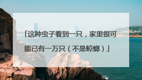 这种虫子看到一只，家里很可能已有一万只（不是蟑螂）