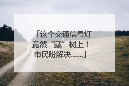 这个交通信号灯竟然“藏”树上！市民盼解决……