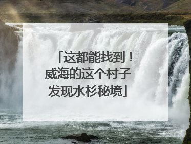 这都能找到！威海的这个村子发现水杉秘境