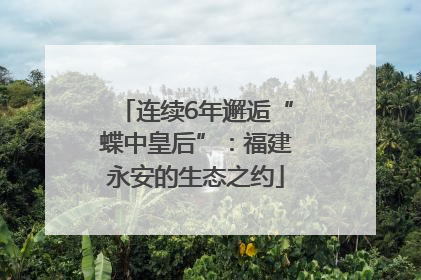 连续6年邂逅“蝶中皇后”：福建永安的生态之约