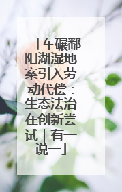 车碾鄱阳湖湿地案引入劳动代偿：生态法治在创新尝试｜有一说一
