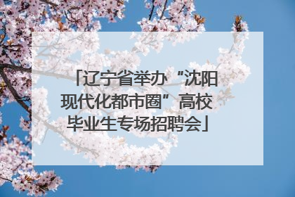 辽宁省举办“沈阳现代化都市圈”高校毕业生专场招聘会