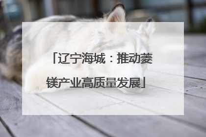 辽宁海城：推动菱镁产业高质量发展