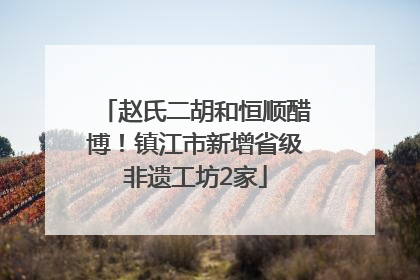赵氏二胡和恒顺醋博！镇江市新增省级非遗工坊2家