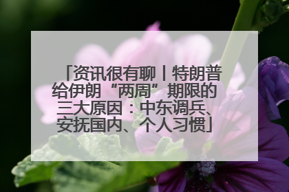 资讯很有聊丨特朗普给伊朗“两周”期限的三大原因：中东调兵、安抚国内、个人习惯