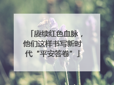赓续红色血脉，他们这样书写新时代“平安答卷”