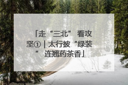 走“三北” 看攻坚①｜太行披“绿装” 连翘药茶香
