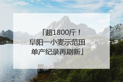 超1800斤！阜阳一小麦示范田单产纪录再刷新