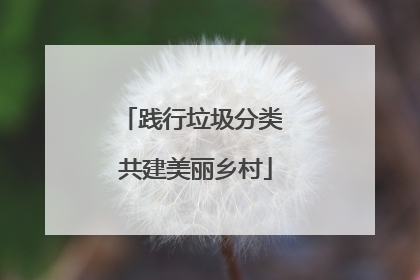 践行垃圾分类 共建美丽乡村