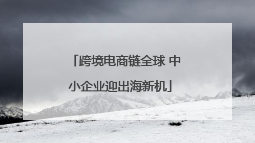 跨境电商链全球 中小企业迎出海新机
