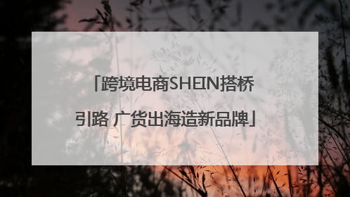 跨境电商SHEIN搭桥引路 广货出海造新品牌
