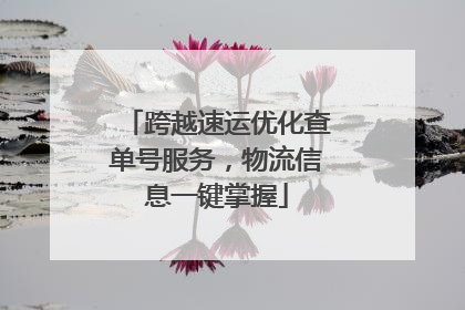 跨越速运优化查单号服务，物流信息一键掌握