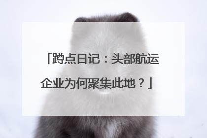 蹲点日记：头部航运企业为何聚集此地？