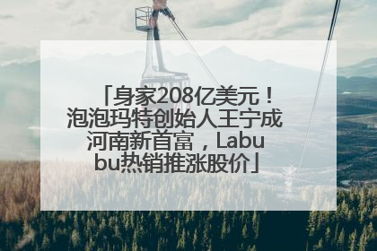 身家208亿美元！泡泡玛特创始人王宁成河南新首富，Labubu热销推涨股价