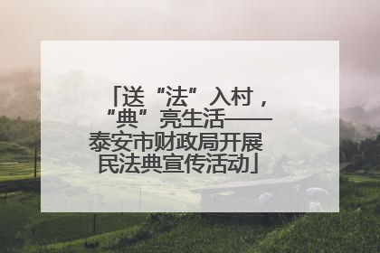送“法”入村，“典”亮生活——泰安市财政局开展民法典宣传活动