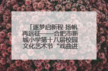 逐梦启新程 扬帆再远征——合肥市新城小学第十八届校园文化艺术节“戏曲进校园专场演出”