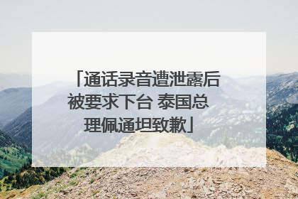 通话录音遭泄露后被要求下台 泰国总理佩通坦致歉