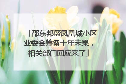 邵东邦盛凤凰城小区业委会筹备十年未果，相关部门回应来了