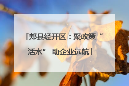 郏县经开区：聚政策“活水” 助企业远航