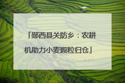 郧西县关防乡：农耕机助力小麦颗粒归仓