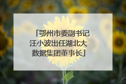 鄂州市委副书记汪小波出任湖北大数据集团董事长