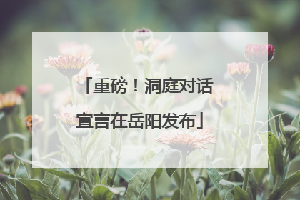重磅！洞庭对话宣言在岳阳发布