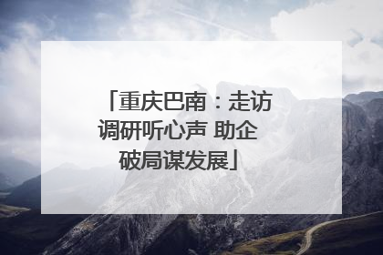 重庆巴南：走访调研听心声 助企破局谋发展